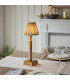 Trobridge Rechargeable Brushed Aged Brass Plate Table Lamp with Herb Garden Green Fabric Leaf Shade 16cm Integrated LED-2