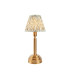 Upton Rechargeable Brushed Aged Brass Plate Table Lamp with Herb Garden Green Fabric Leaf Shade 16cm Integrated LED-1