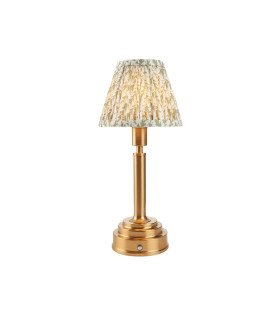 Upton Rechargeable Brushed Aged Brass Plate Table Lamp with Herb Garden Green Fabric Leaf Shade 16cm Integrated LED-1