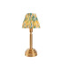 Upton Rechargeable Brushed Aged Brass Plate With Yellow Table Lamp with Jade Fabric Ikat Shade 16cm Integrated LED-1