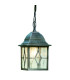 Genoa 1 Light Outdoor Ceiling Pendant Light Black Silver E27_Main