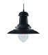 Fisherman 1 Light Dome Ceiling Pendant Black Clear Glass Medium E27_Main