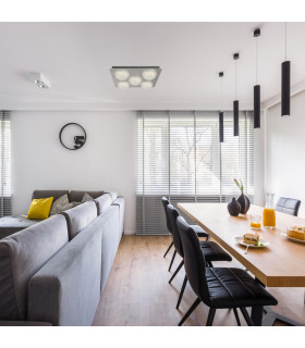 5 Light Led Ceiling Light - Silver Leaf With Clear Acrylic_Room