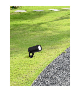 Garden Spike - 
Black_Room