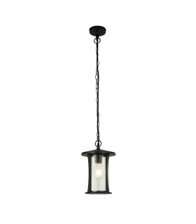 1 Light Outdoor Pendant - Black With Clear Glass_Main