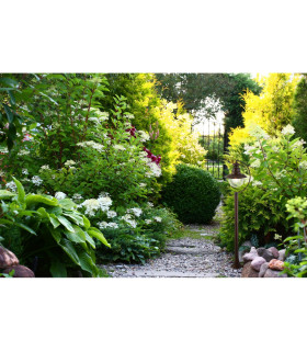 1 Light Outdoor Garden Post (1100mm Height) - Rustic Brown With Clear Glass_Room