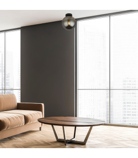 1 Light Flush  Smoked Glass Black_Room