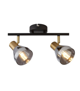 Westminster 2 Light Spotlight BlackSatin Brass & Smoked Glass_Main