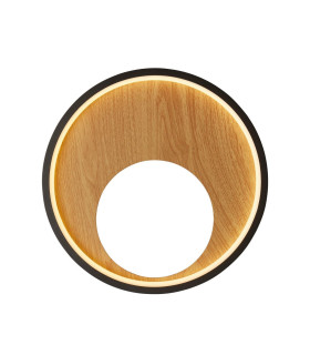 Curio Wall Light Black Wood_Main