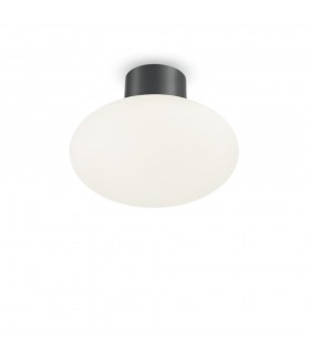Bathroom Globe Flush Light Frame Anthracite IP44, E27 (Shade Sold Separately) - 1