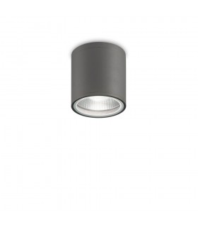 Outdoor 1 Light Surface Mounted Ceiling Lamp Anthracite IP44, GU10 - 1