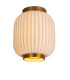 Lucide GOSSE - Flush ceiling light - Ø 19