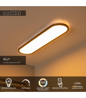 Lucide ELLY - Flush ceiling light - LED Dim. - CCT - 1x36W 2700K/4000K - Opal | Essential-2