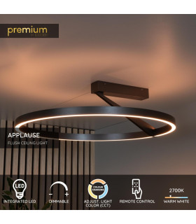 Lucide APPLAUSE - Flush ceiling light - Ø 60 cm - LED Dim. - CCT - 1x40W 2200K/4000K - Grey iron | Premium-2