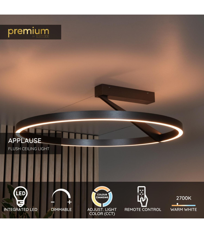 Lucide APPLAUSE - Flush ceiling light - Ø 60 cm - LED Dim. - CCT - 1x40W 2200K/4000K - Grey iron | Premium-2