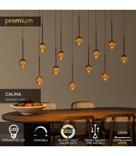 Lucide CALINA - Pendant light - LED Dim. - CCT - 12x7W 2200K/3300K - Coffee | Premium-2