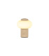 Lucide GUSTAV - Rechargeable Table lamp - Battery pack - Ø 8 cm - LED Dim. - 1x0