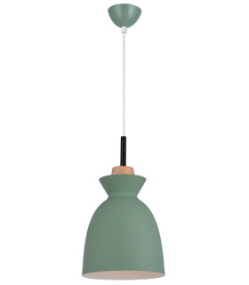 Razgrad 20cm Dome Pendant Ceiling Light Green Matt 1xE27-1