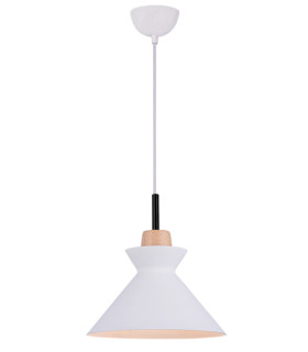 Razgrad 25cm Dome Pendant Ceiling Light White Matt 1xE27-1