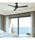 Daphros Ceiling Fan Black Matt-2