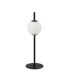 Tetovo Globe Table Lamp Black Matt LED 3000K-1