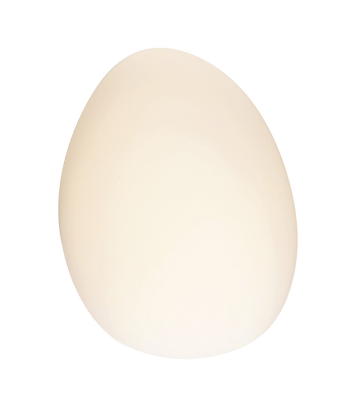 Thebes 33cm Integrated Led Wall Lamp White LED 3000K 5W-1
