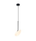 Zygi Pendant Ceiling Light Black Matt LED 3000K-1