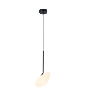 Zygi Pendant Ceiling Light Black Matt LED 3000K-1