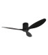 Eliona Ceiling Fan Black Matt-1