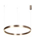 Zorya 80cm Pendant Ceiling Light Electroplate Brushed Coffee LED 3000K Dimmable-1
