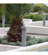 Simitli Outdoor Bollard Natural Concrete LED 3000K IP54-3