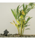 Zambelis 25cm Outdoor Spike Graphite LED 3000K IP65-2