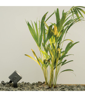 Zambelis 25cm Outdoor Spike Graphite LED 3000K IP65-2