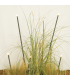 Orlais 80cm Outdoor Spike Dark Brown LED 2700ΚK IP65-2