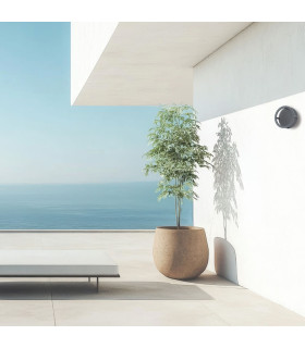 Zambelis 20.6cm Outdoor Modern Wall Lamp Graphite LED 3000K IP65-2