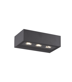 Zambelis Outdoor Wall Down Lamp Graphite LED 3000K IP54-1