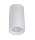Momin Surface Mounted Downlight White Matt 1xGU10