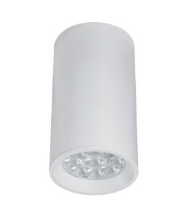 Momin Surface Mounted Downlight White Matt 1xGU10