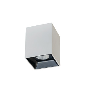 Obzor Surface Mounted Downlight White - Black Reflector LED 3000K-1