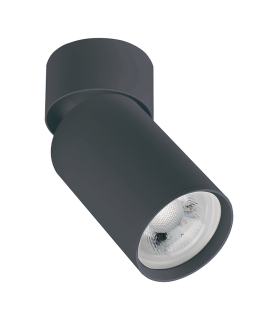 Marisca Surface Mounted Downlight Black Sandy 1xGU10-1