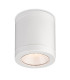 Firstlight Max Resin Flush Ceiling Fitting White 4.5w LED 400lm 3000K IP65