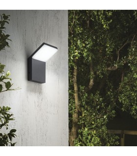 LED 1 Light Outdoor Wall Light Anthracite IP54 - 2