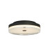 Cyprus LED Flush Light Black Metal and Clear Acrylic-1