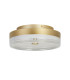 Cyprus LED Flush Light Gold Metal and Clear Acrylic-2