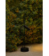 Clap 51Cm LED Outdoor Display Light Black IP65 3000K
