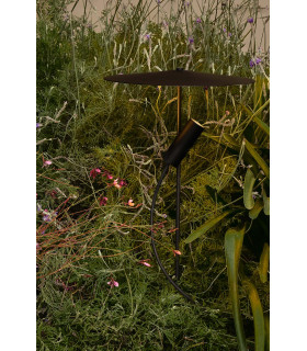 Clap 51Cm LED Outdoor Display Light Black, Black Shade IP65 3000K with Screen