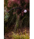 Cuca 65Cm LED Outdoor Spike Black IP65 2700K