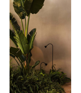 Lily 30Cm LED Outdoor Spike Black IP65 2700K