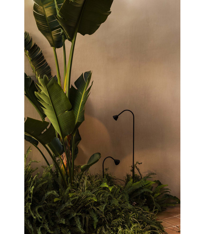 Lily 30Cm LED Outdoor Spike Black IP65 2700K