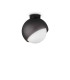 Bloom 22cm Globe Ceiling Light Black 1x E27-1